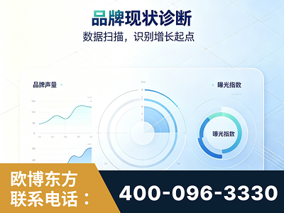 葫芦岛-品牌现状诊断