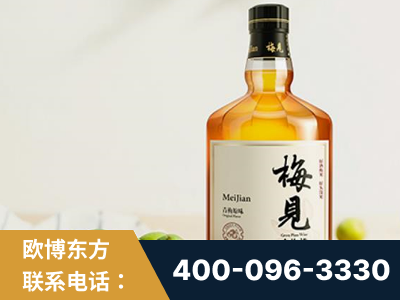 葫芦岛-梅见青梅酒